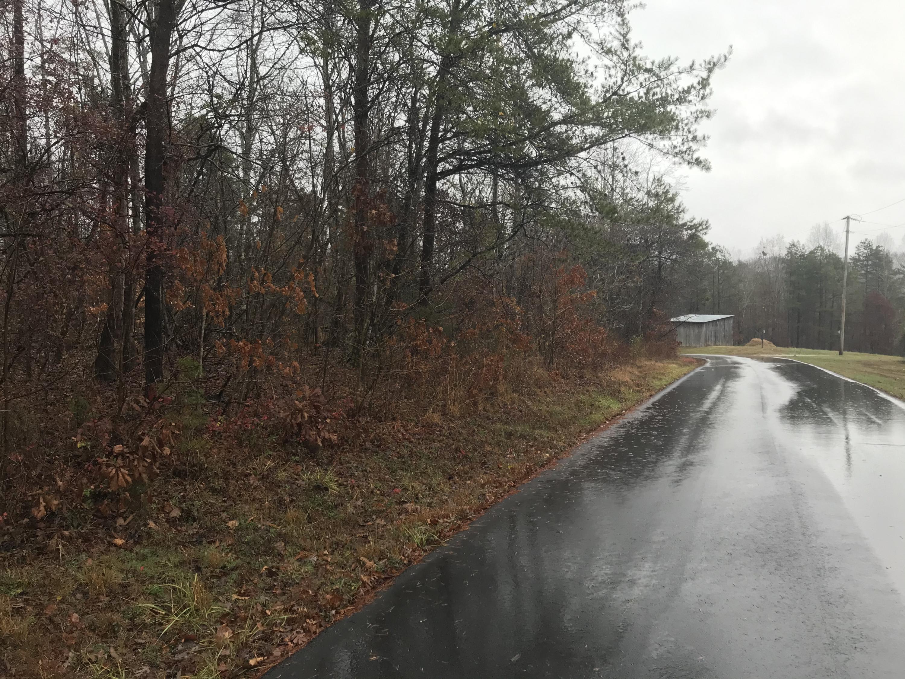 Buck Creek Road Kingston, TN 37763 - Photo 6 of 7 7824DFBB-9795-478C-9F4C-924989C357BE