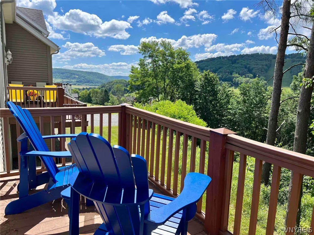 504 Deer Crossing Road Ellicottville, NY 14731 - Photo 3 of 37