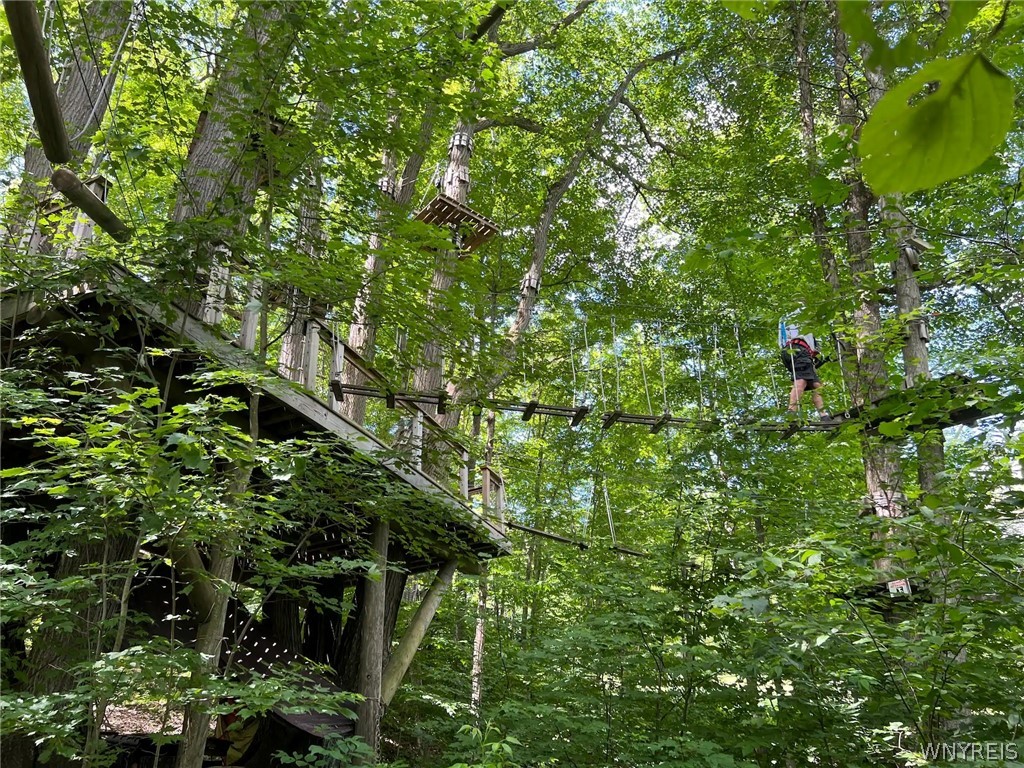 504 Deer Crossing Road Ellicottville, NY 14731 - Photo 36 of 37
