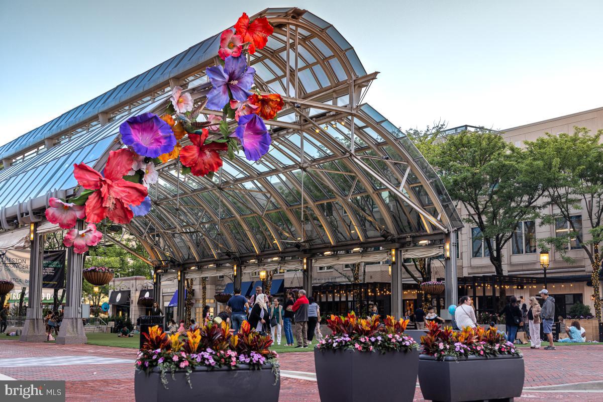 11081 Pelham Manor Place Reston, VA 20194 - Photo 79 of 99 Vibrant blooms under a glass canopy.