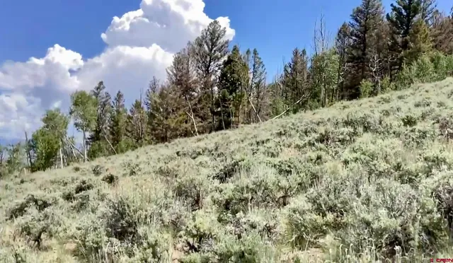 a view of a snow in a yard