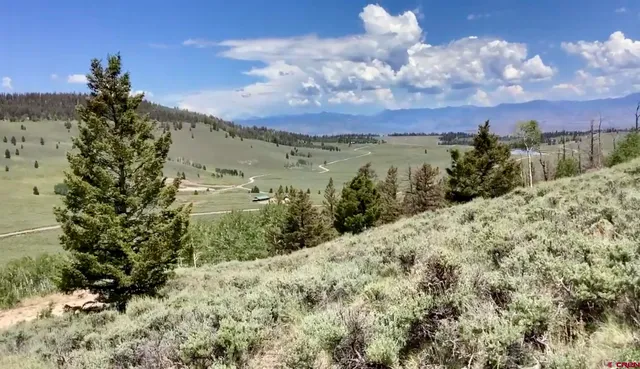 a view of a yard with mountains in the background