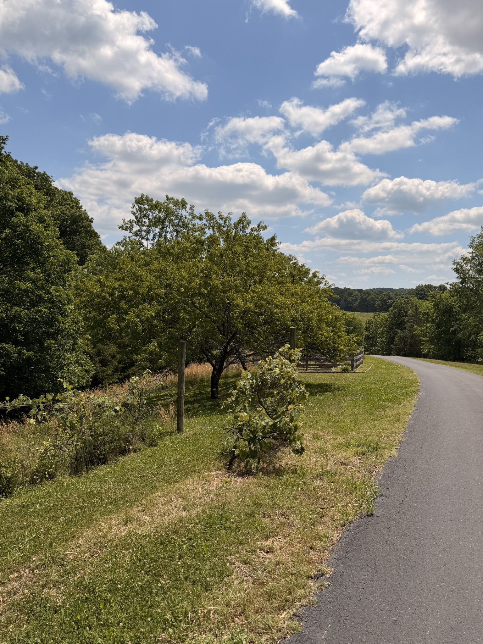 3625 Mitchell Road Lebanon, TN 37087 - Photo 59 of 86