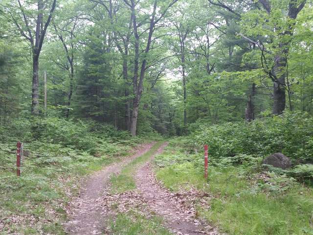5940 Forest Loop Drive Rhinelander, WI 54501 - Photo 20 of 20 Gallery Image 20