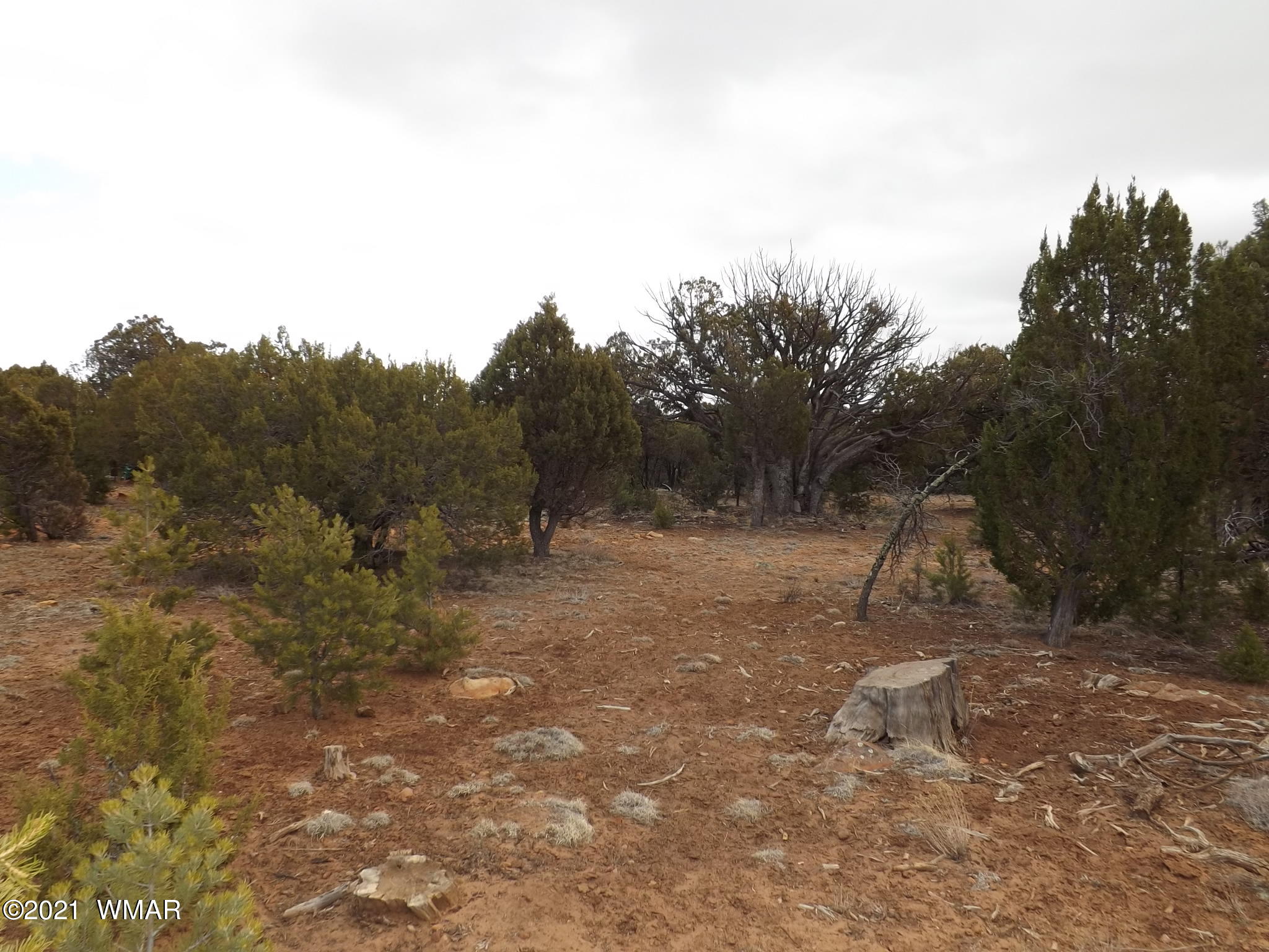 1541 Riata Road Heber, AZ 85928 - Photo 1 of 9 Gallery Image 1