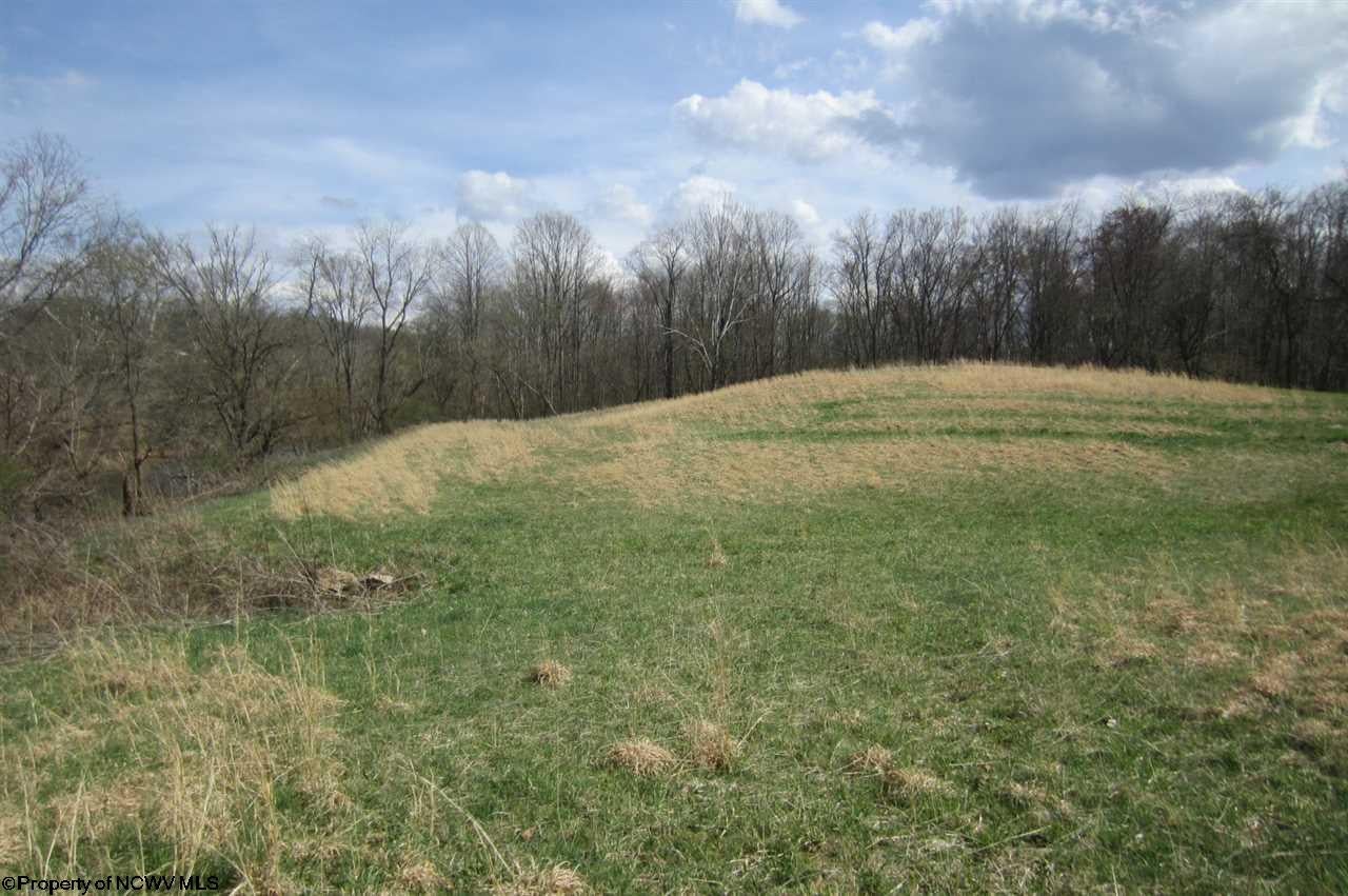 5698 Old Mill Road Jane Lew, WV 26378 - Photo 6 of 20 Gallery Image 6