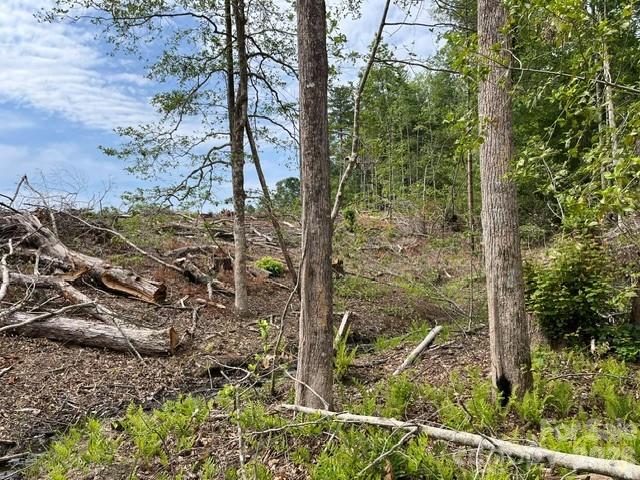 Tbd Fowler Road Granite Falls, NC 28630 - Photo 18 of 22 a view of a backyard of the house
