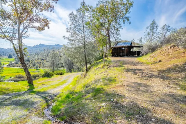 a view of a yard with trees in the background