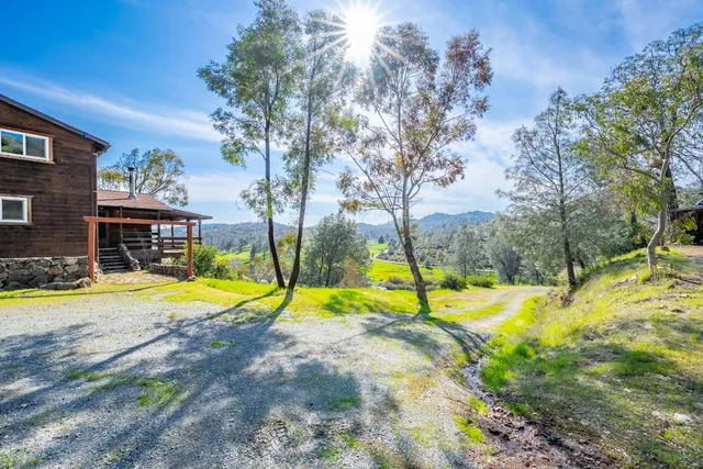 a view of a yard with a tree