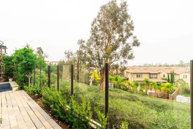 a view of a garden with plants