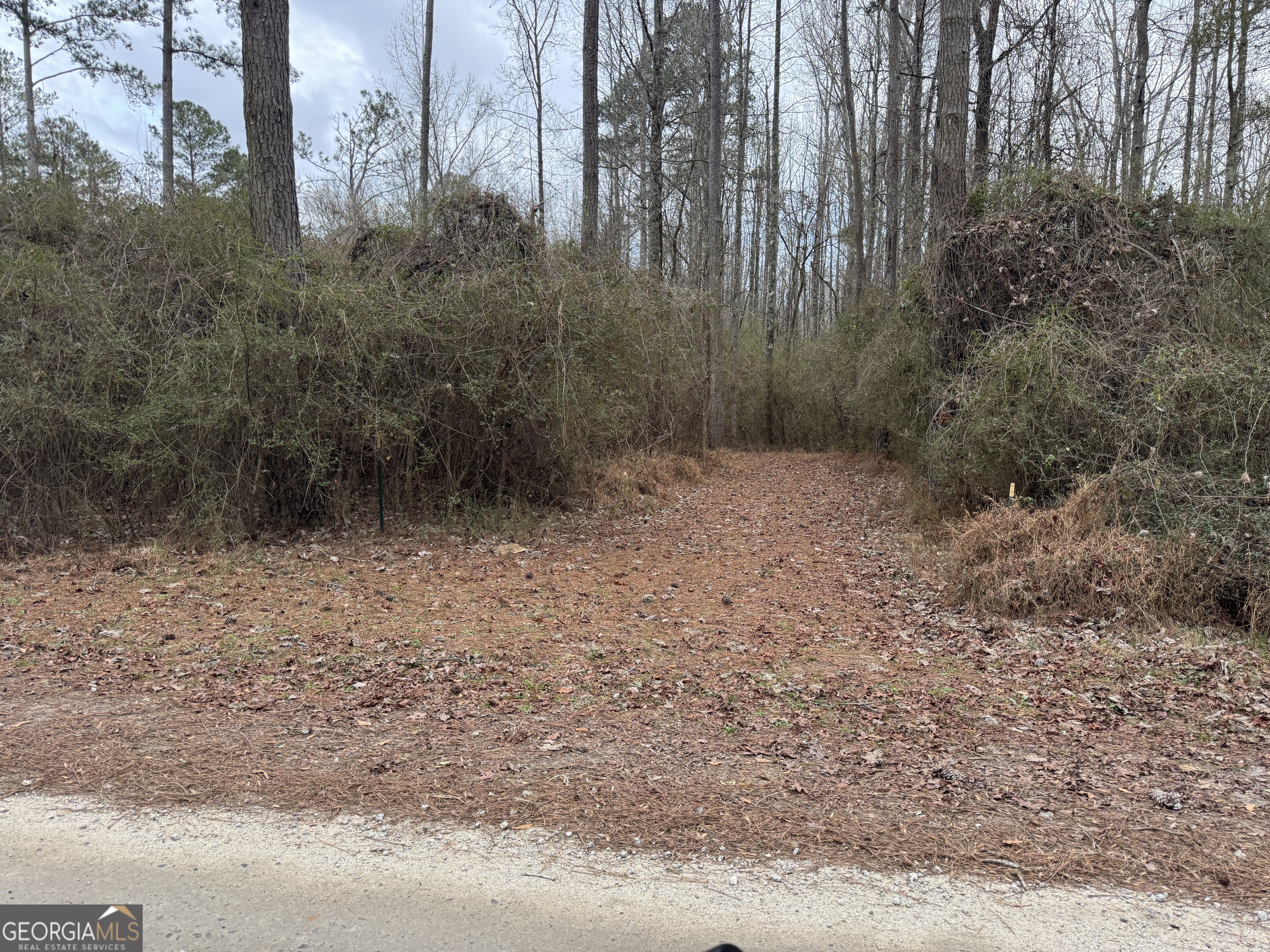 580-i B I B Howard Road Williamson, GA 30292 - Photo 109 of 123