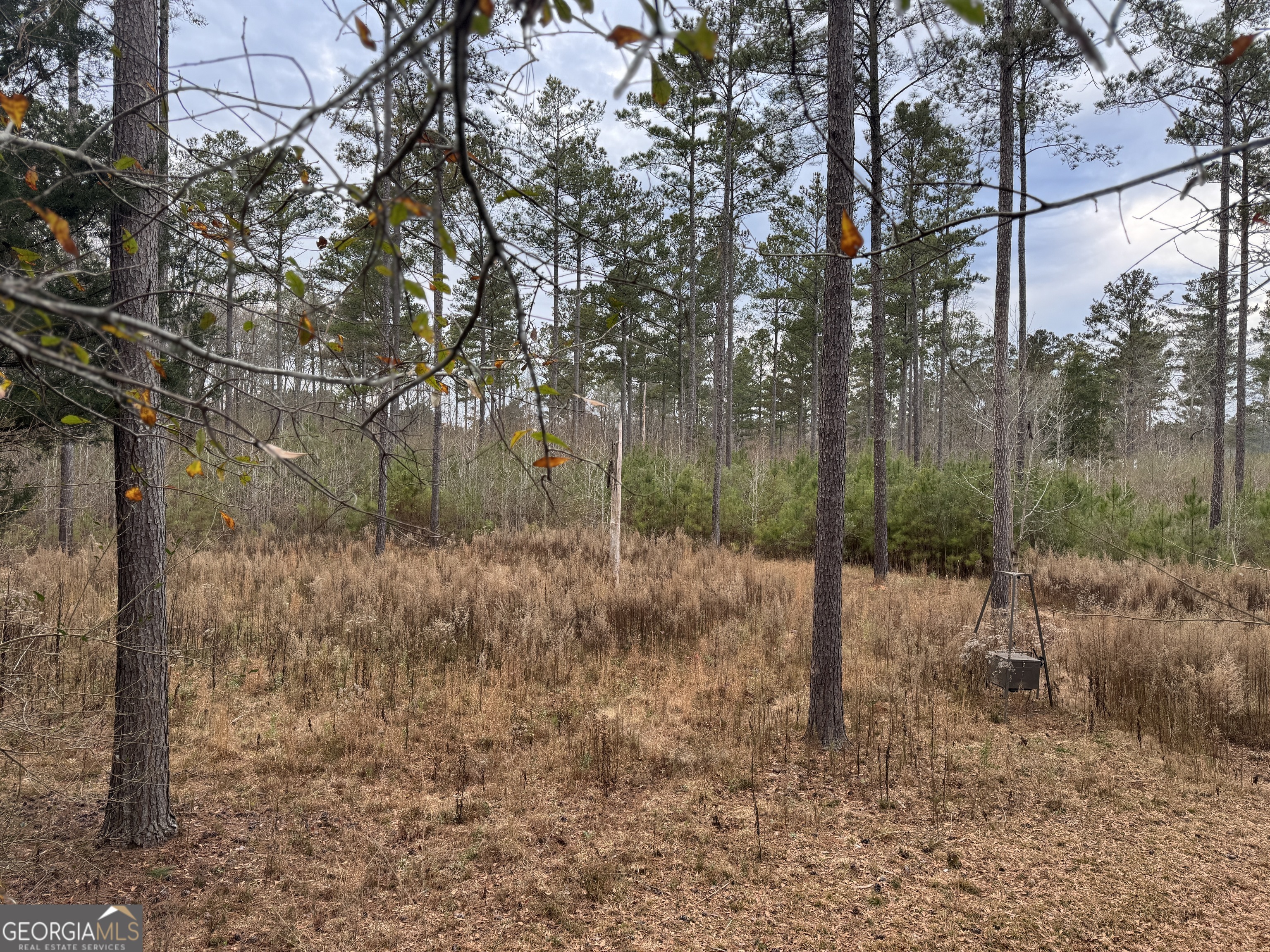 580-i B I B Howard Road Williamson, GA 30292 - Photo 110 of 123