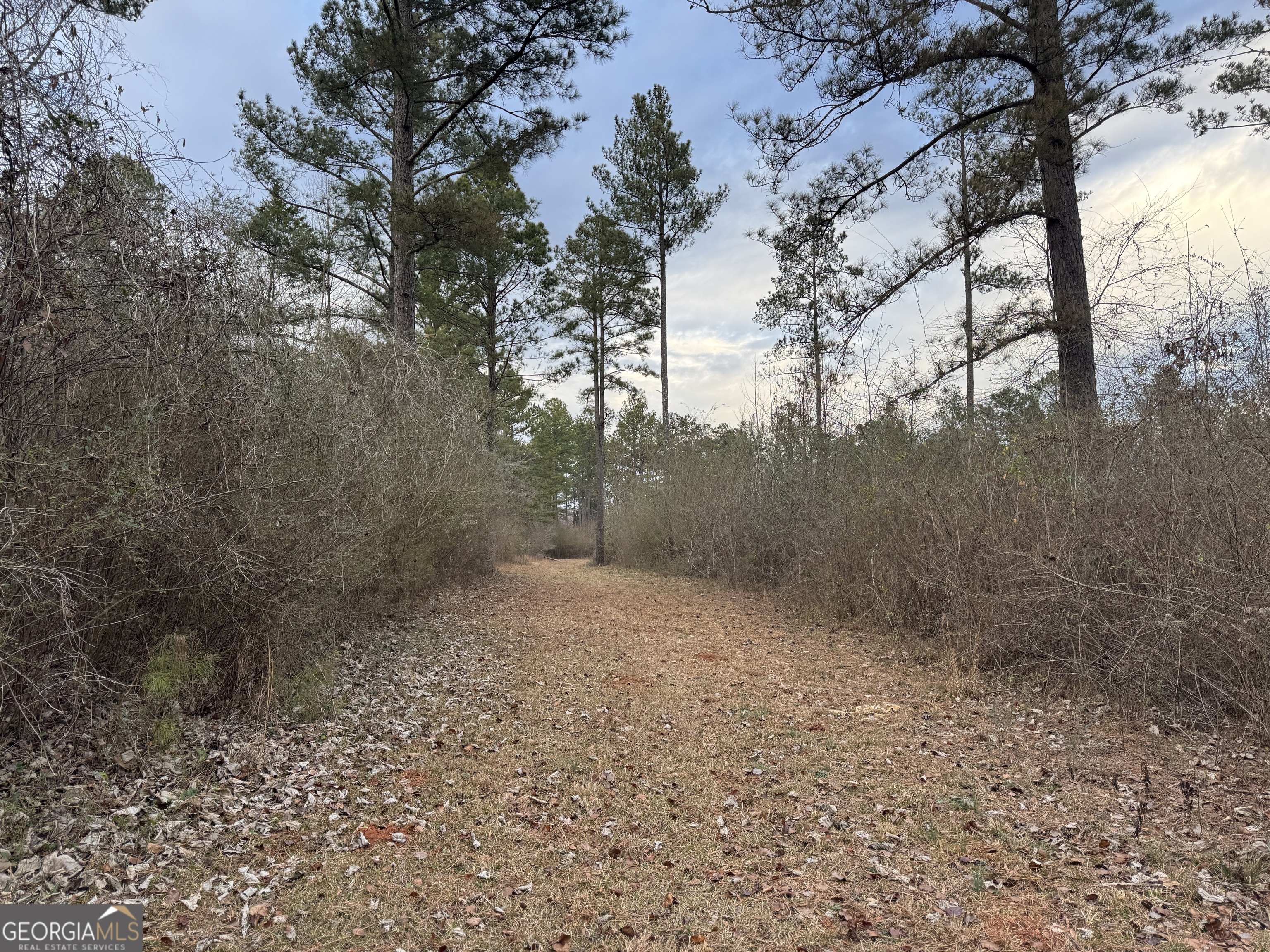 580-i B I B Howard Road Williamson, GA 30292 - Photo 111 of 123