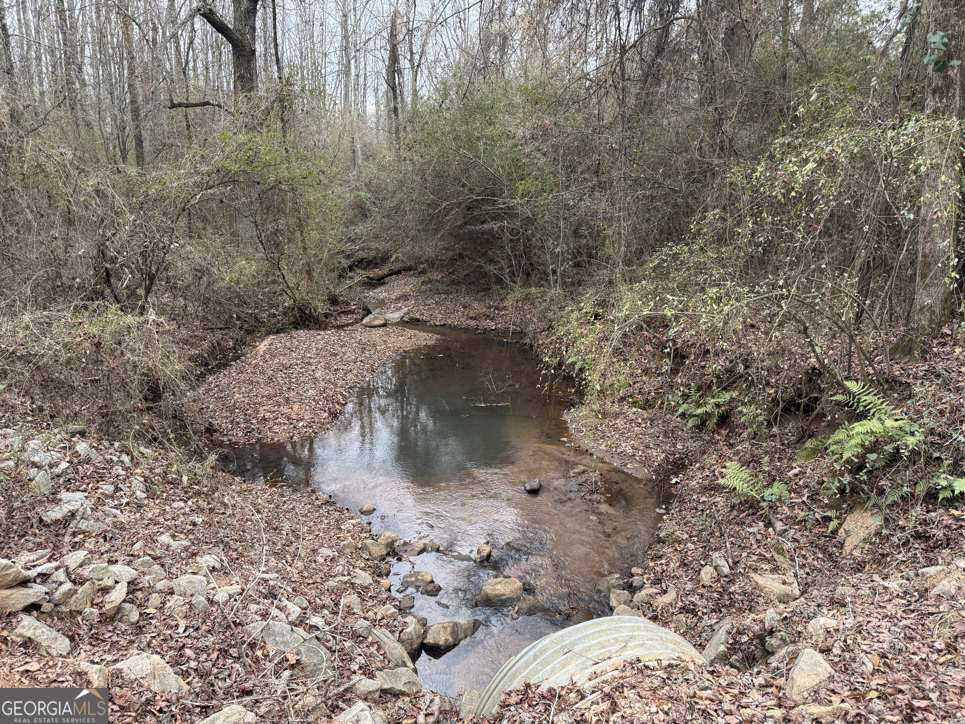 580-i B I B Howard Road Williamson, GA 30292 - Photo 113 of 123