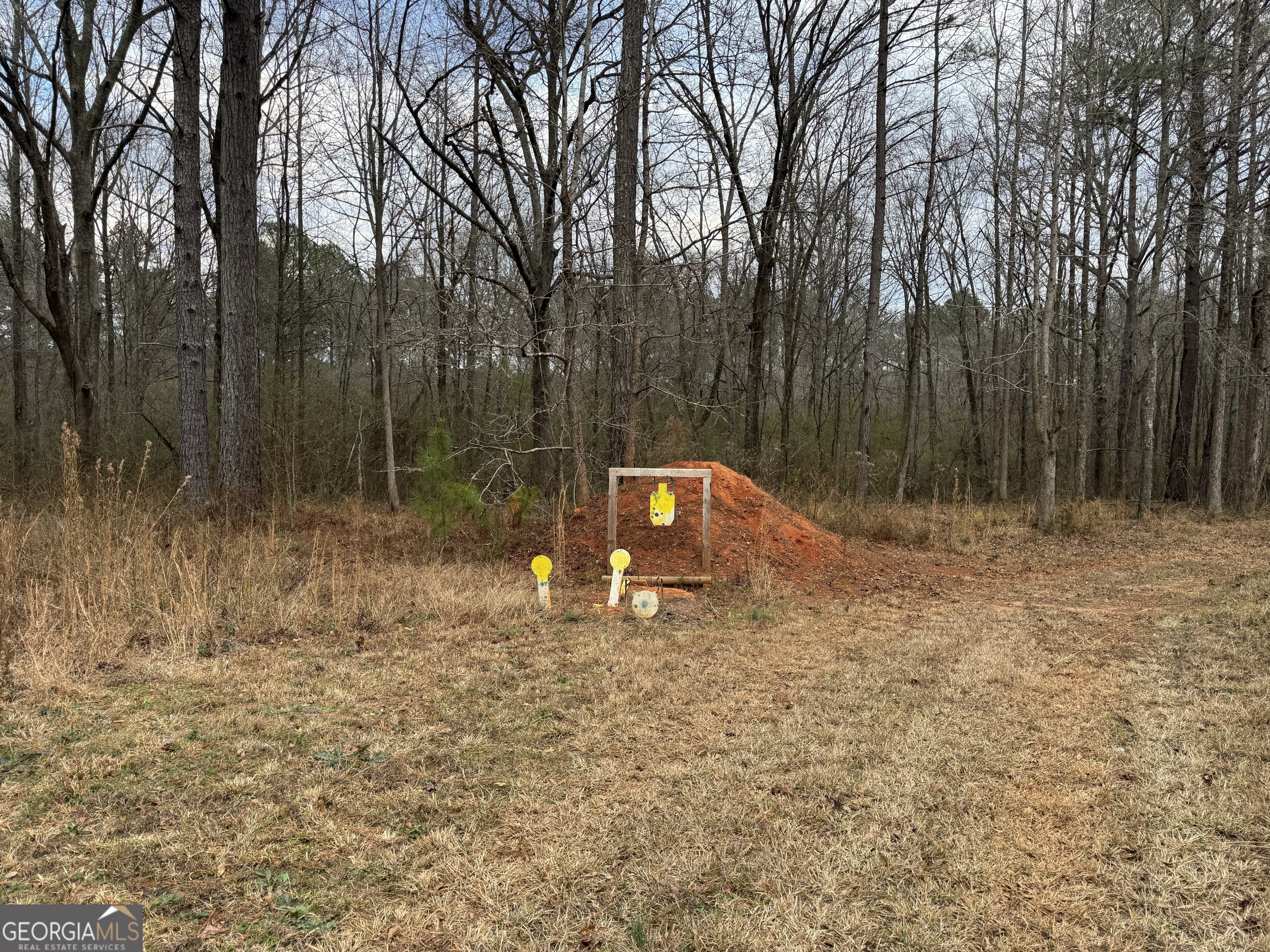 580-i B I B Howard Road Williamson, GA 30292 - Photo 114 of 123 a backyard of a house with lots of green space