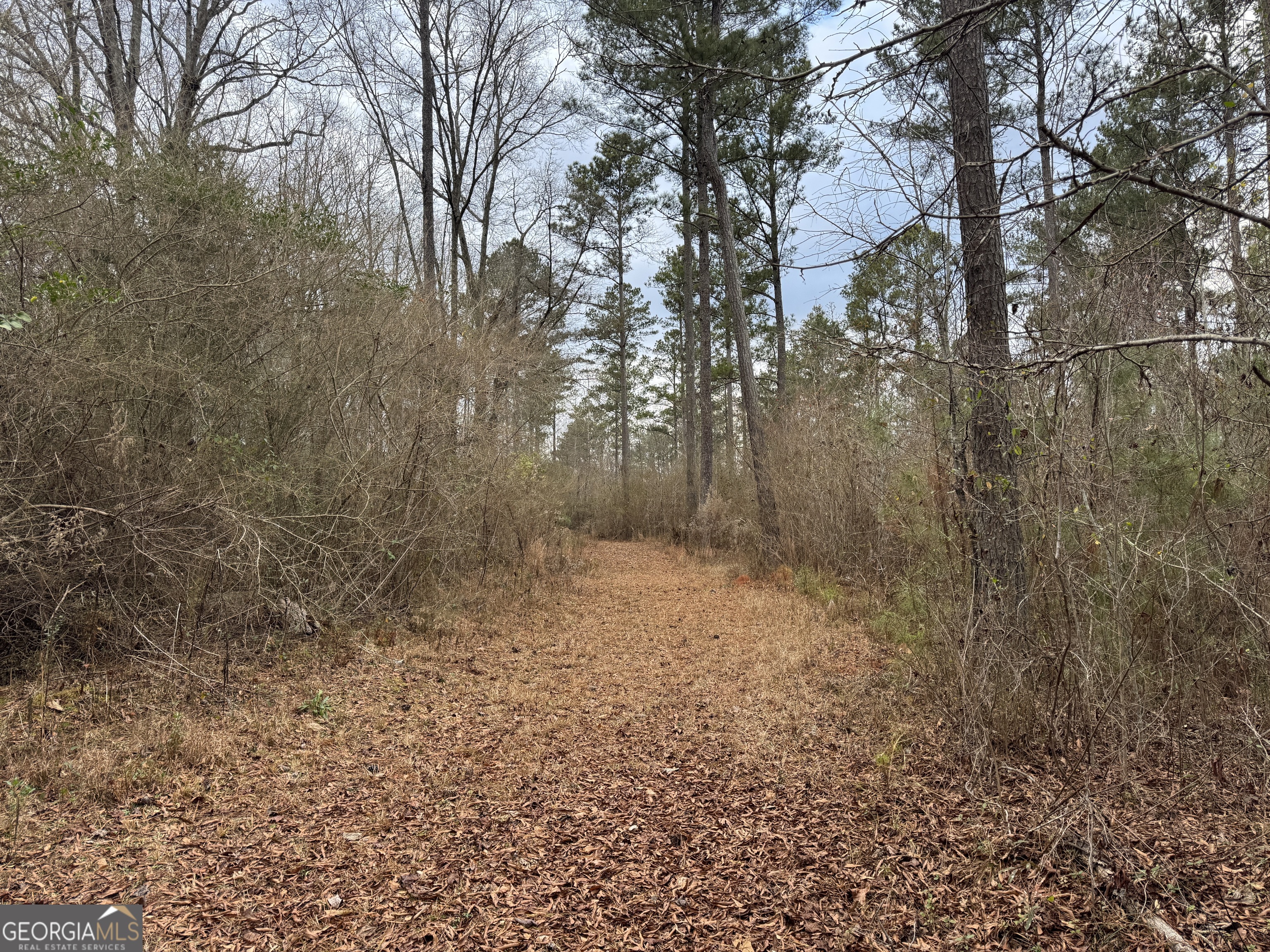 580-i B I B Howard Road Williamson, GA 30292 - Photo 115 of 123 a view of a yard with trees