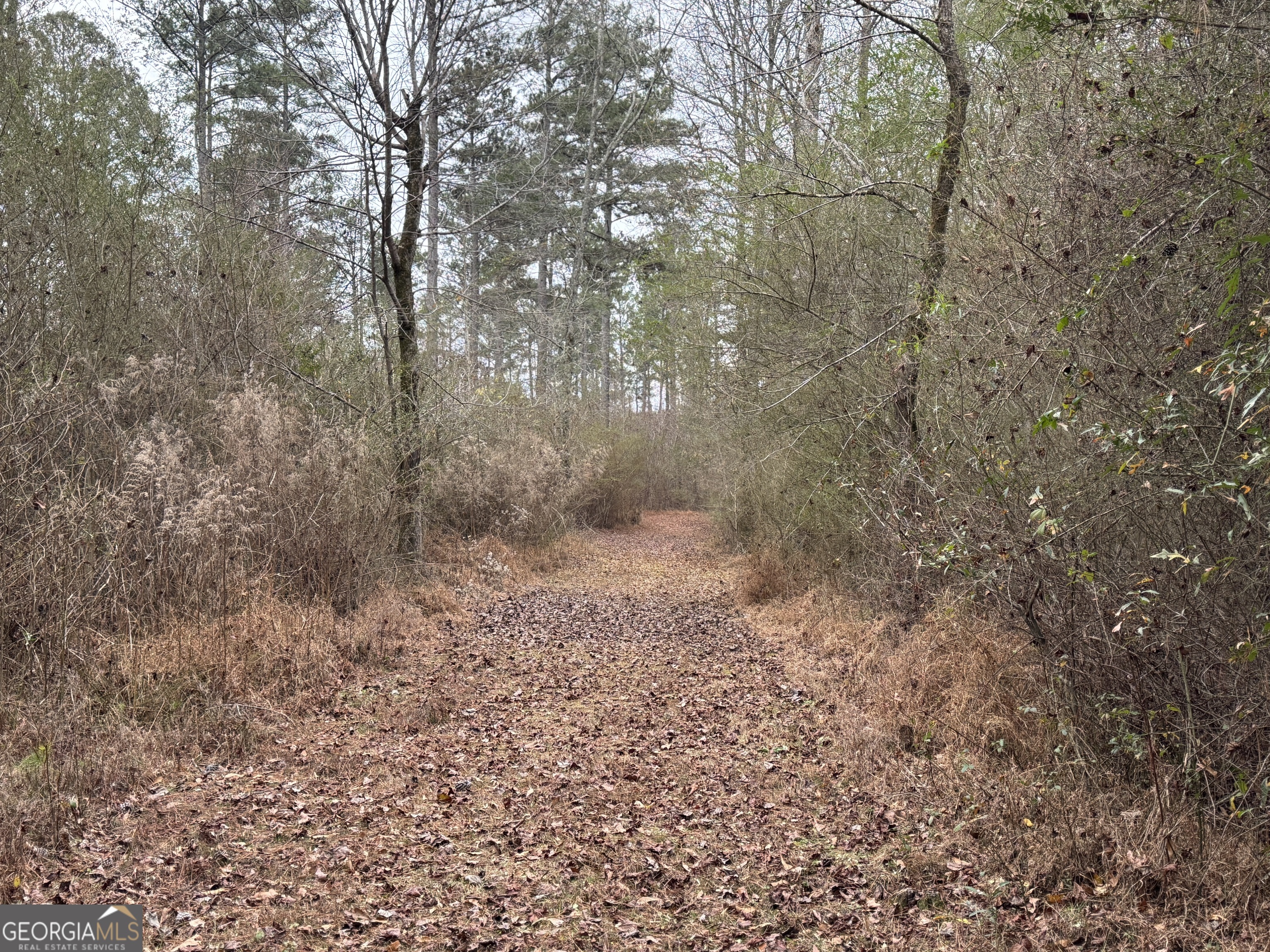 580-i B I B Howard Road Williamson, GA 30292 - Photo 116 of 123