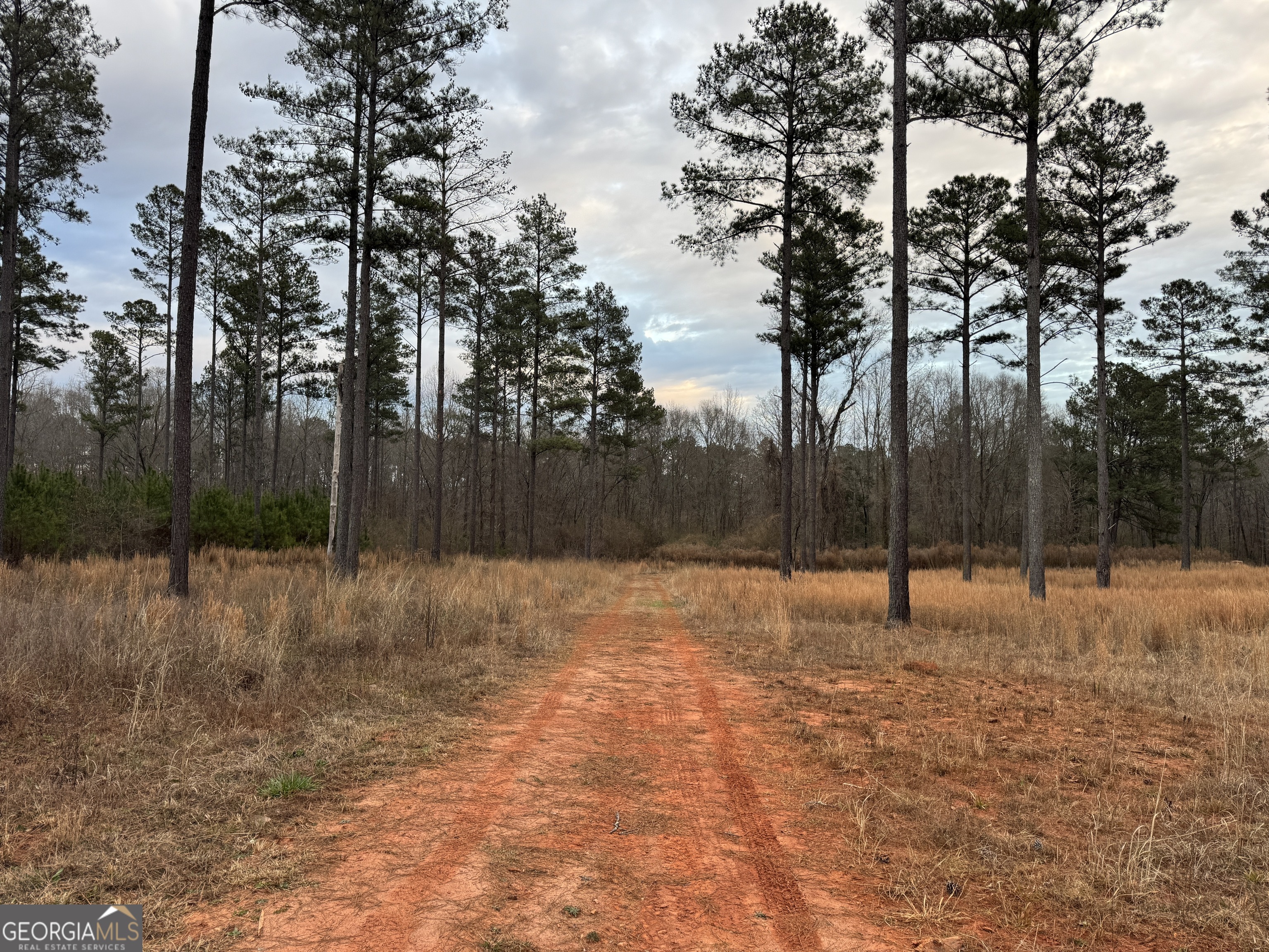 580-i B I B Howard Road Williamson, GA 30292 - Photo 117 of 123
