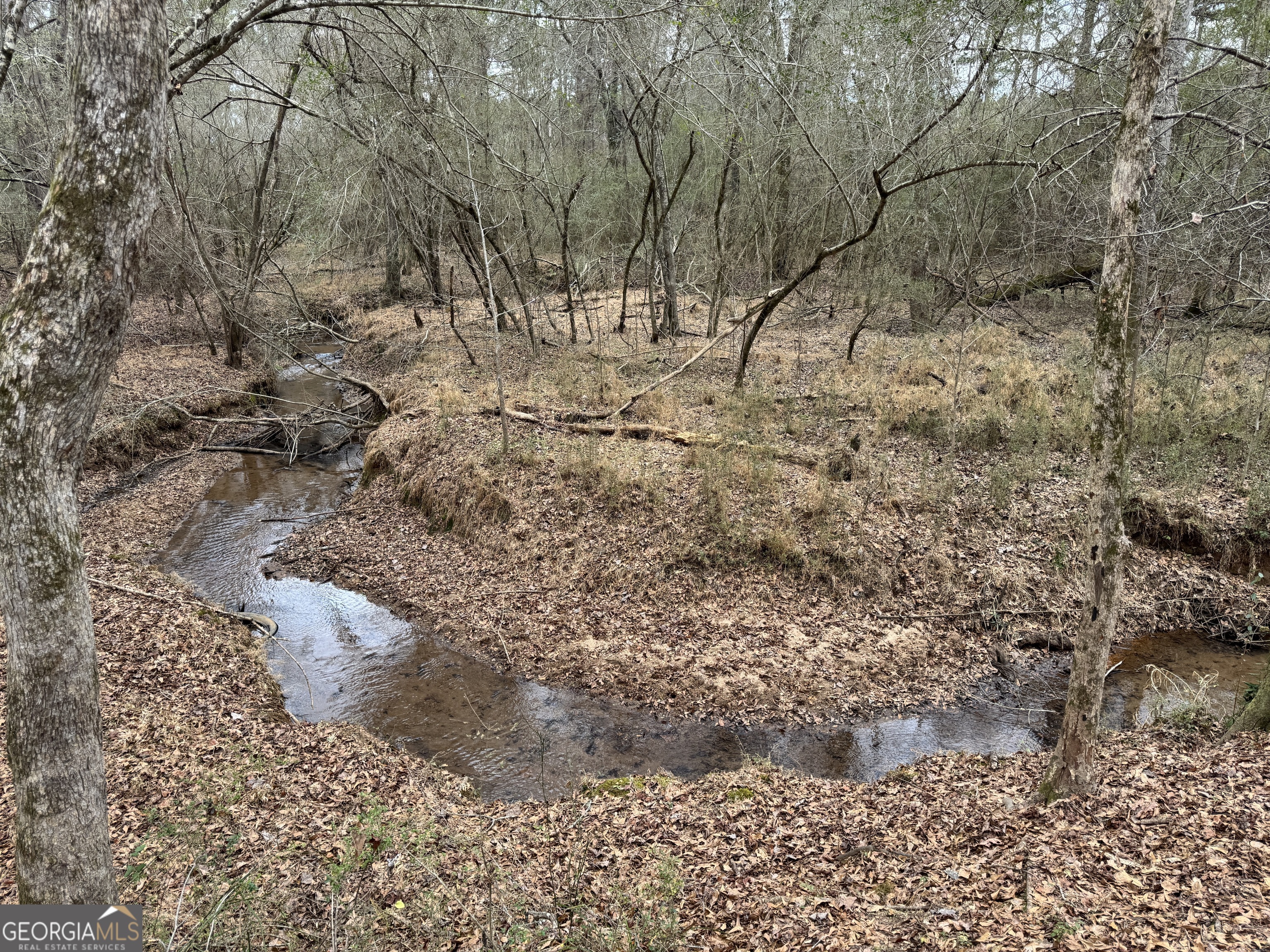 580-i B I B Howard Road Williamson, GA 30292 - Photo 119 of 123