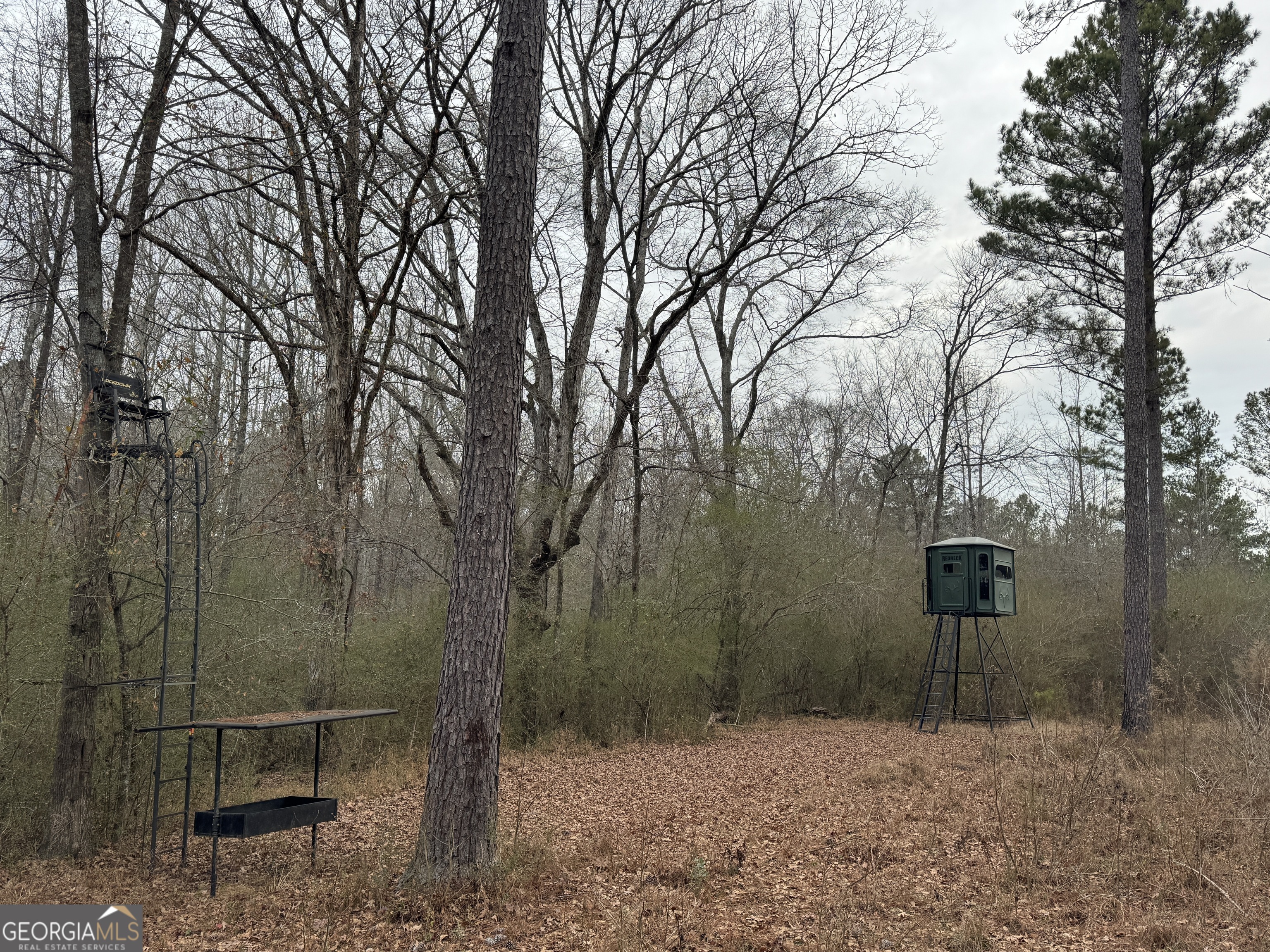 580-i B I B Howard Road Williamson, GA 30292 - Photo 120 of 123 a backyard of a house with lots of green space