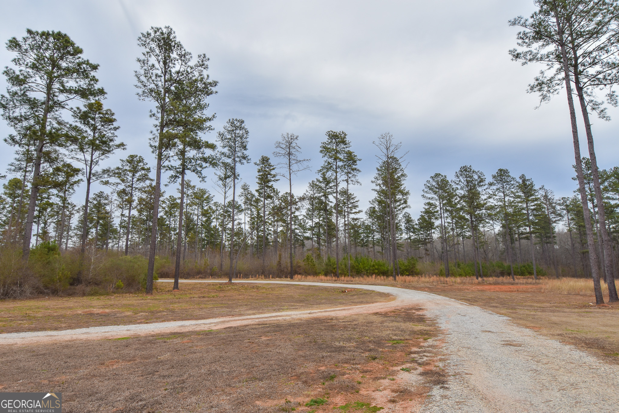 580-i B I B Howard Road Williamson, GA 30292 - Photo 59 of 123 a view of a backyard of a house