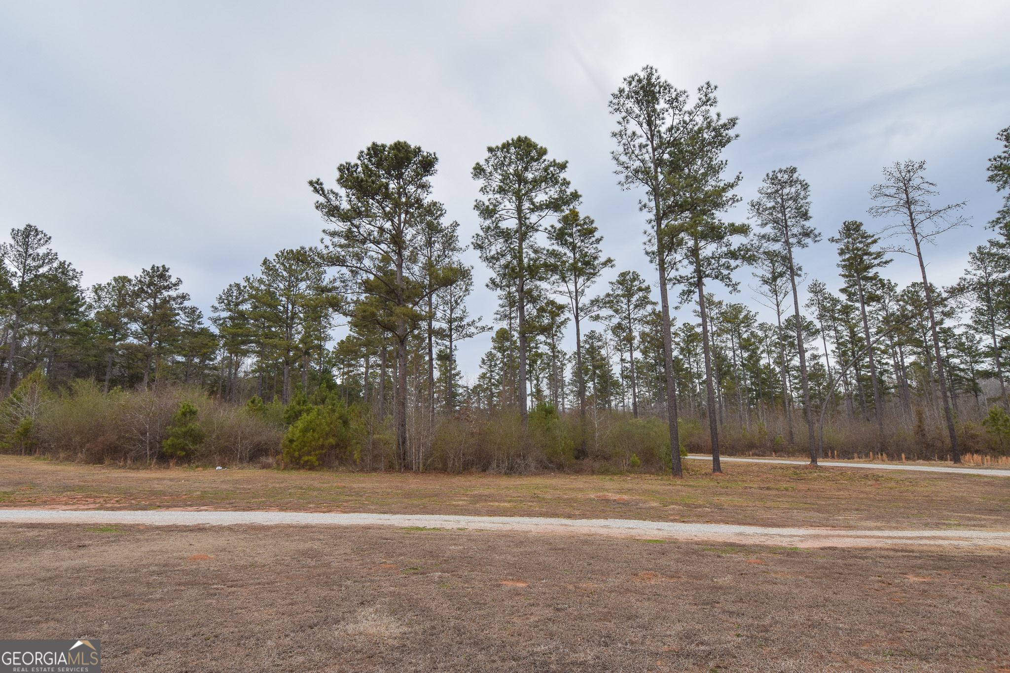 580-i B I B Howard Road Williamson, GA 30292 - Photo 60 of 123