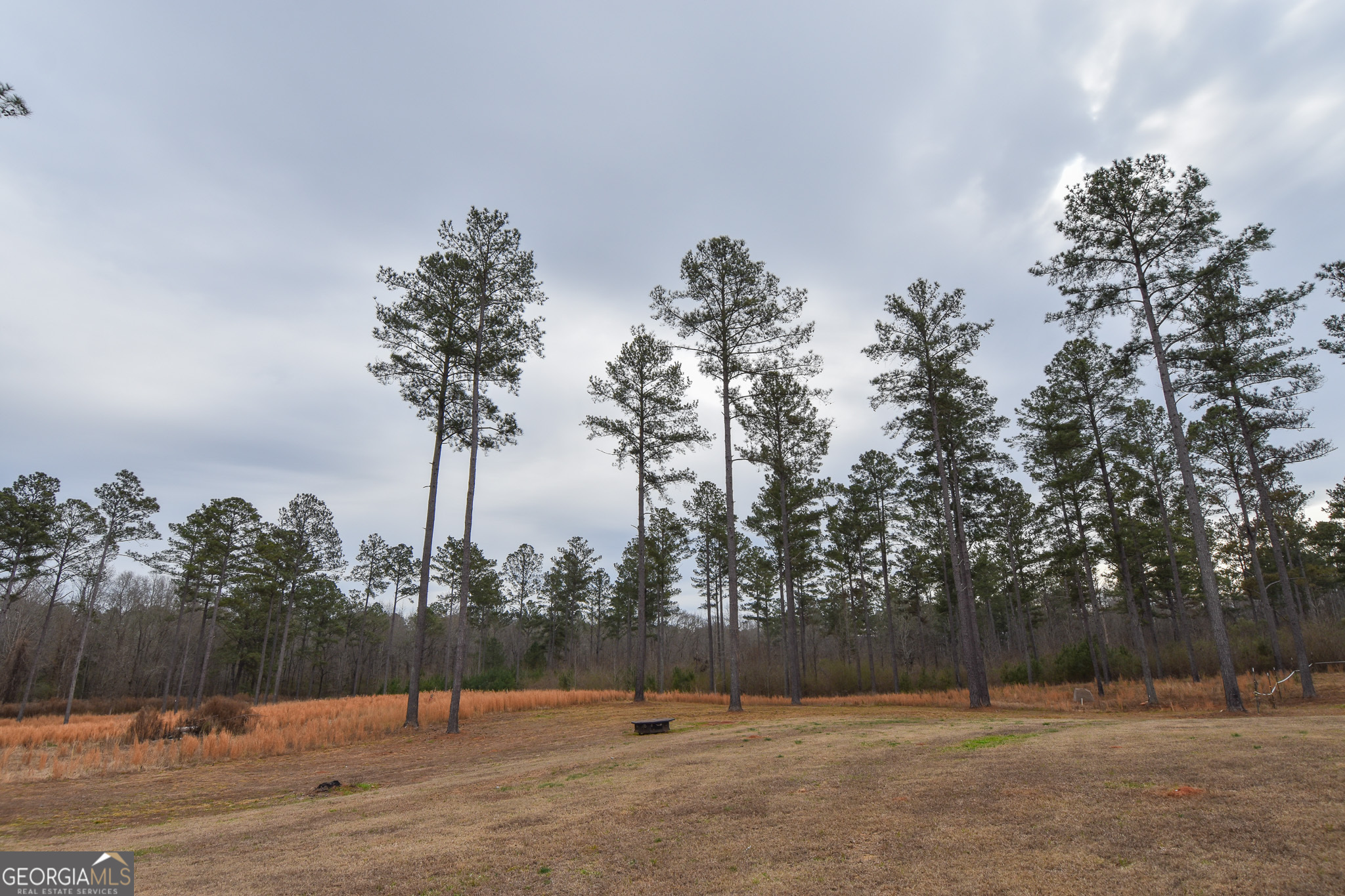 580-i B I B Howard Road Williamson, GA 30292 - Photo 61 of 123