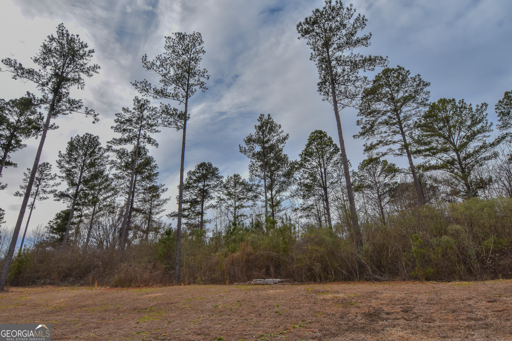 580-i B I B Howard Road Williamson, GA 30292 - Photo 67 of 123