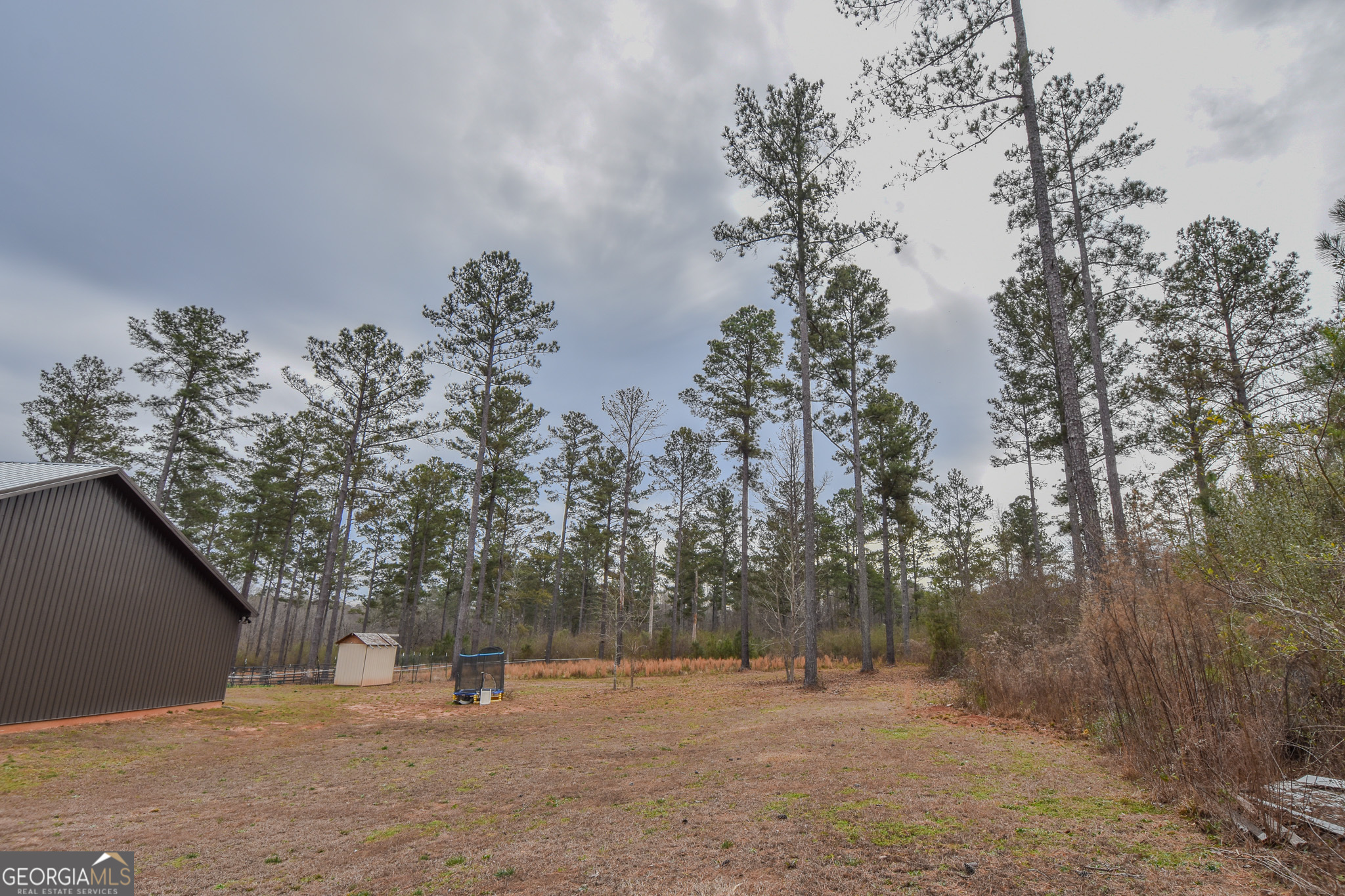 580-i B I B Howard Road Williamson, GA 30292 - Photo 68 of 123 a view of outdoor space with trees all around