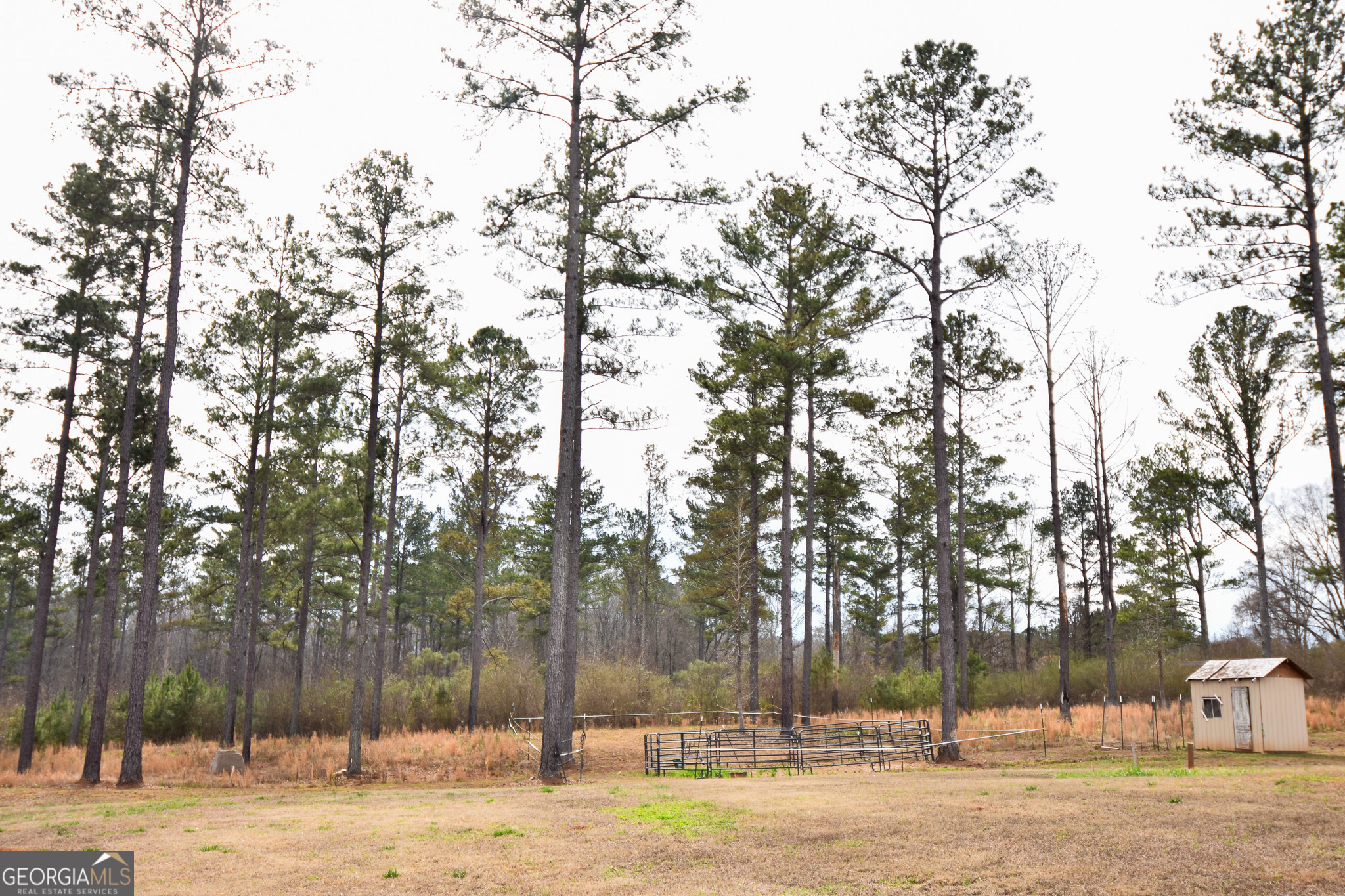 580-i B I B Howard Road Williamson, GA 30292 - Photo 79 of 123 a view of a yard covered with snow on the roadside