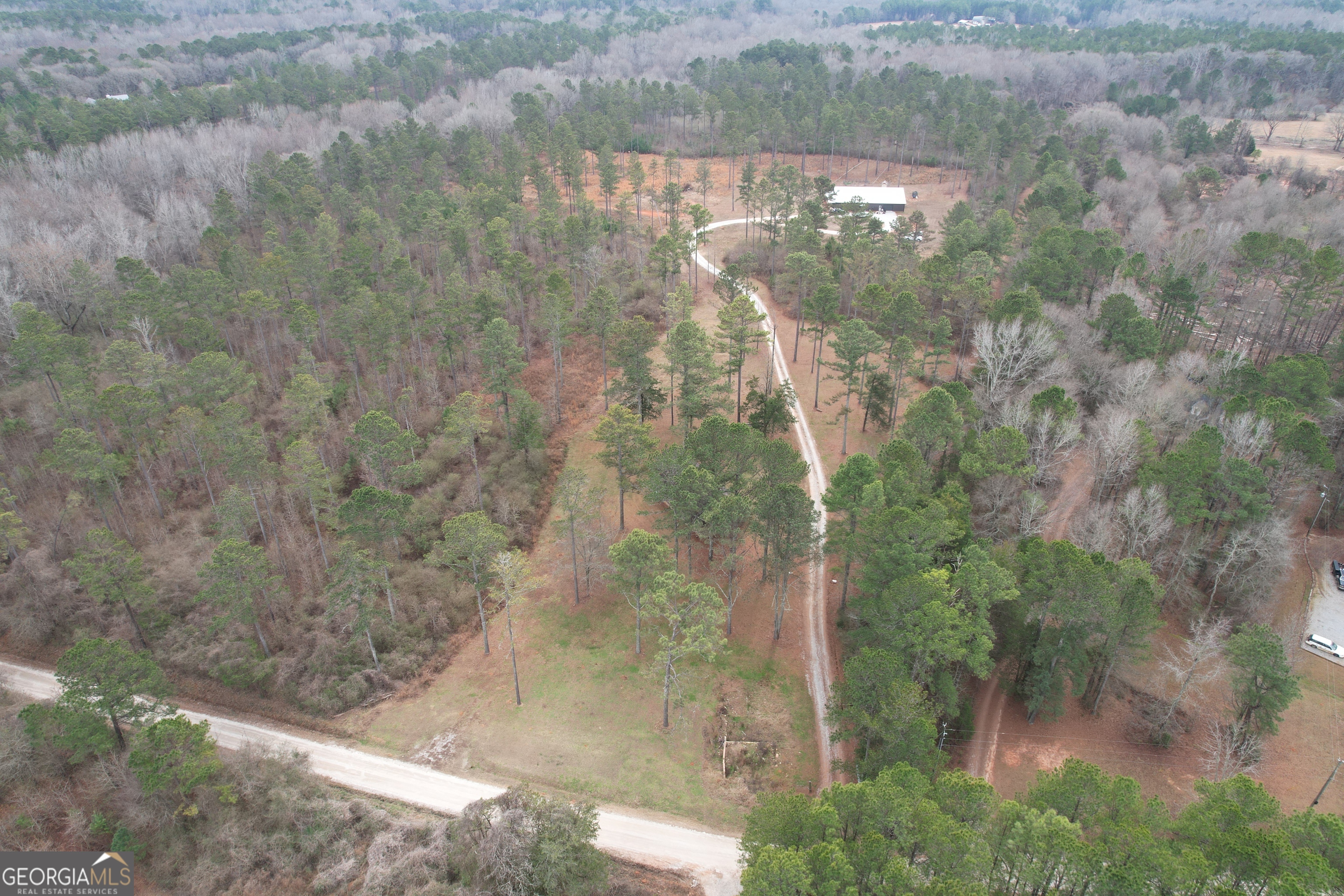 580-i B I B Howard Road Williamson, GA 30292 - Photo 91 of 123 a view of a forest that has a tree in it