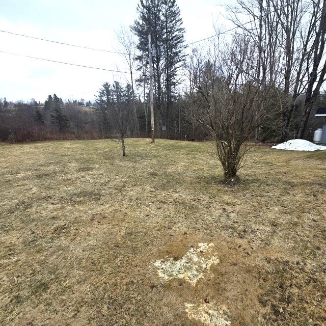 600 White School Road Burke, VT 05832 - Photo 24 of 27
