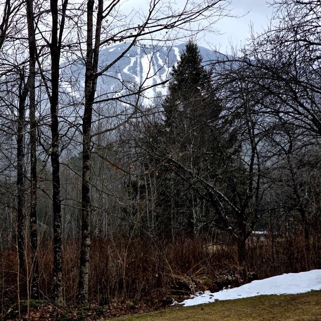 600 White School Road Burke, VT 05832 - Photo 25 of 27