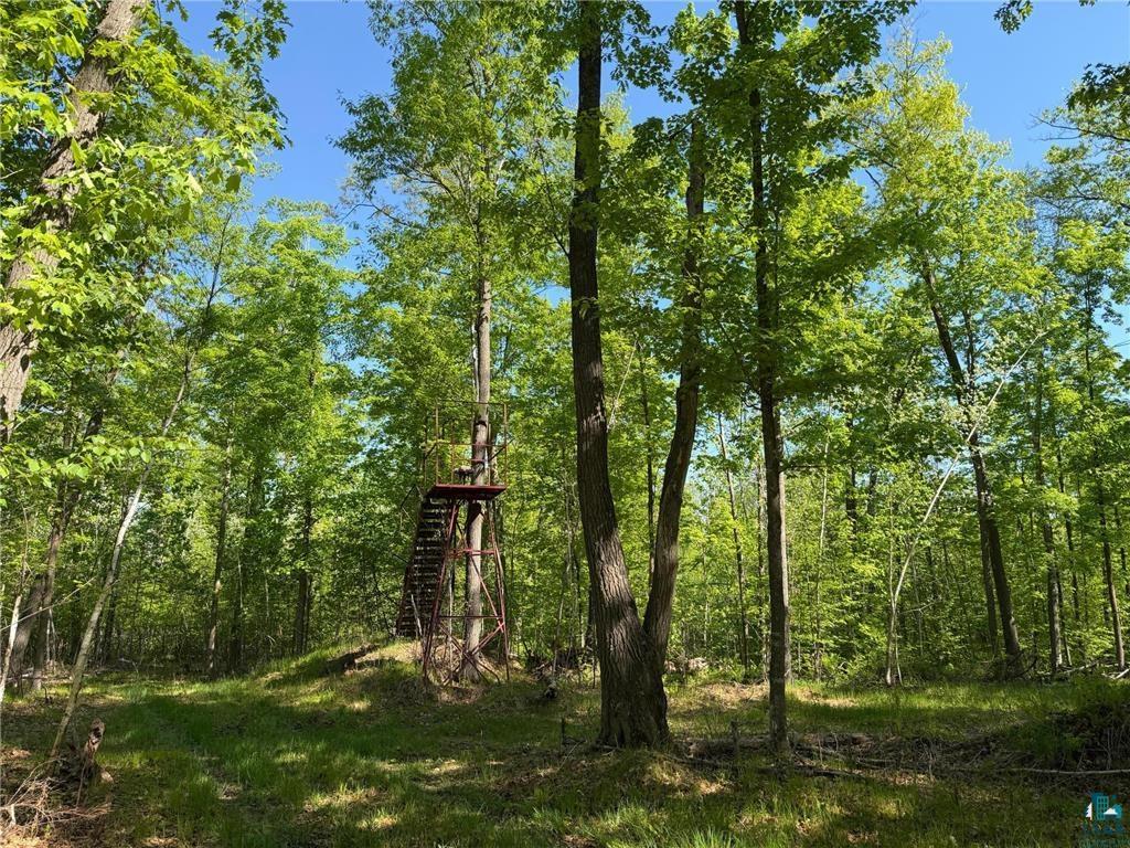 54003 Dollar Lake Road Sandstone, MN 55072 - Photo 22 of 40