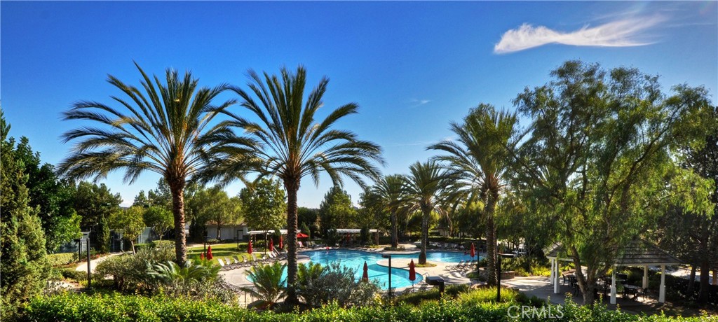 12 Triad Lane Ladera Ranch, CA 92694 - Photo 30 of 32 a row of palm trees and swimming pool
