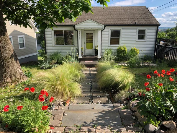 a front view of house and yard with green space