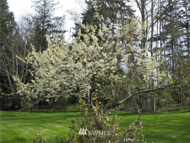 450 Meade Road Nordland, WA 98358 - Photo 6 of 14