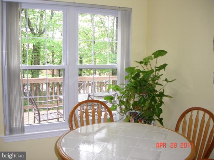 1918 Brightleaf Court Silver Spring, MD 20902 - Photo 4 of 13 So much light!!!