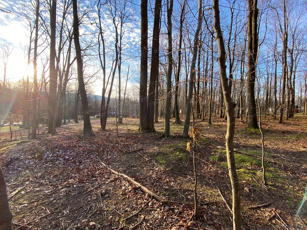 Rudder Road Ligonier, PA 15658 - Photo 11 of 12
