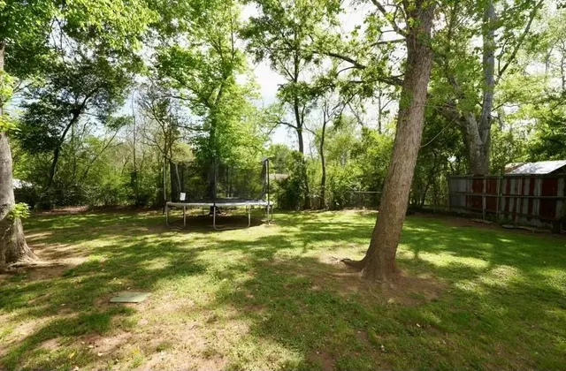 a view of a yard with a tree
