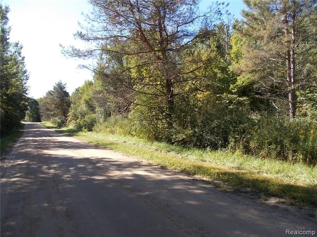 0 Mushroom Road Deford, MI 48729 - Photo 2 of 8