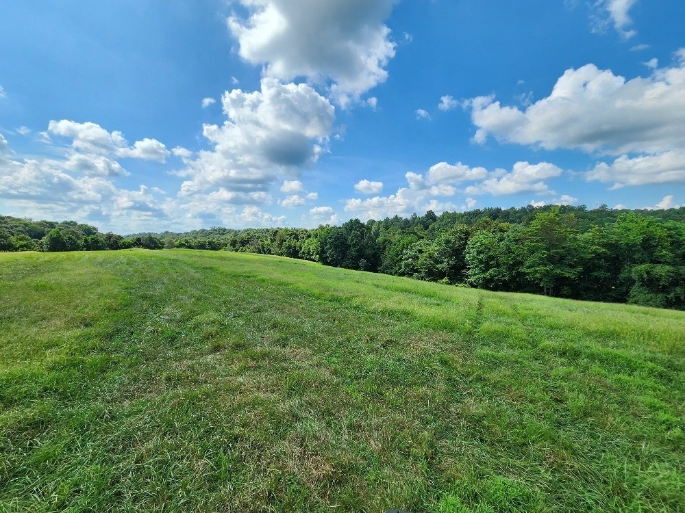 0 Taurus Farm Road Lafayette, TN 37083 - Photo 35 of 67 Gallery Image 35