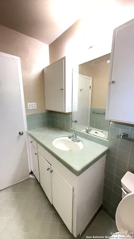 a bathroom with a sink a toilet and mirror