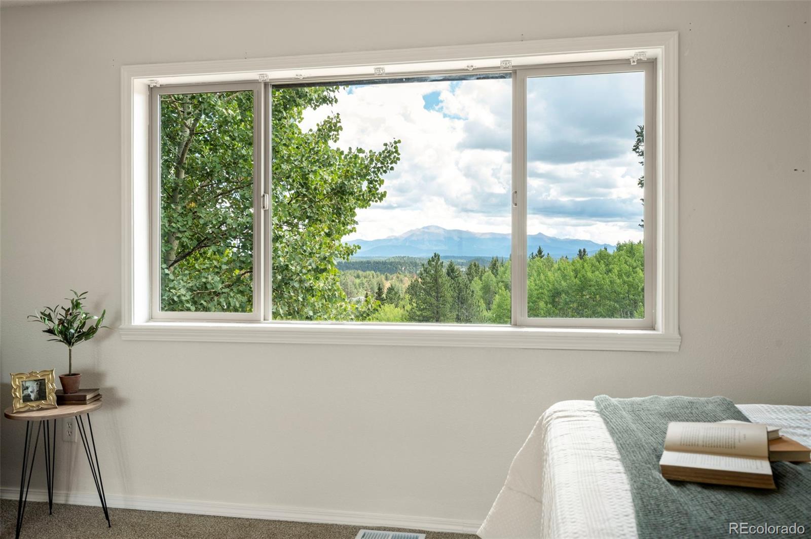 4710 Wildhorn Road Florissant, CO 80816 - Photo 16 of 41