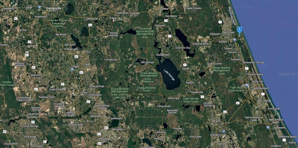 0 Rio Vista Drive Palm Coast, FL 32137 - Photo 5 of 5 a view of a garden