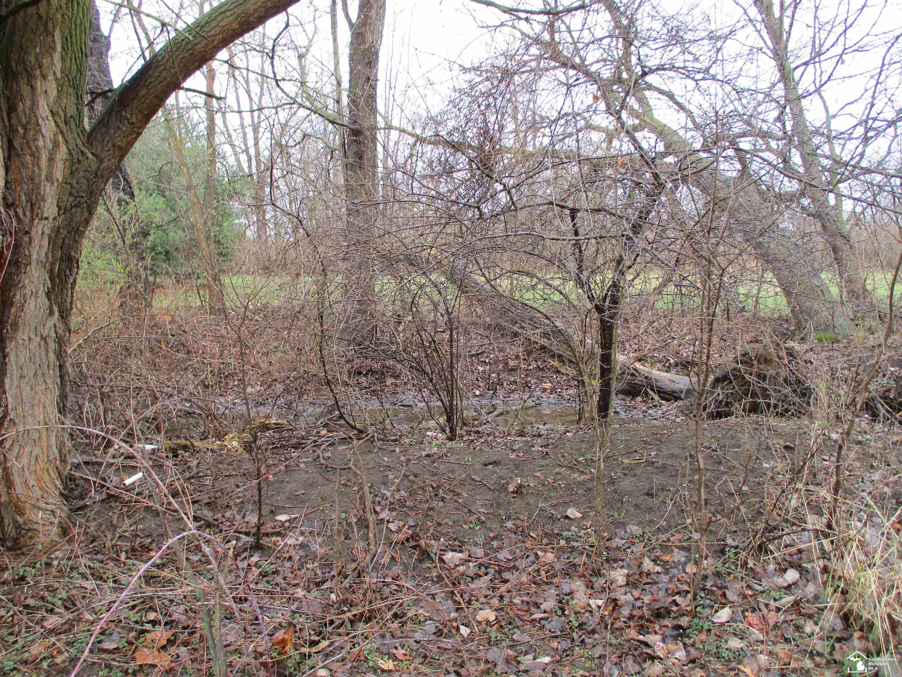 11291 Townsend Road Milan, MI 48160 - Photo 24 of 27 Gallery Image 24