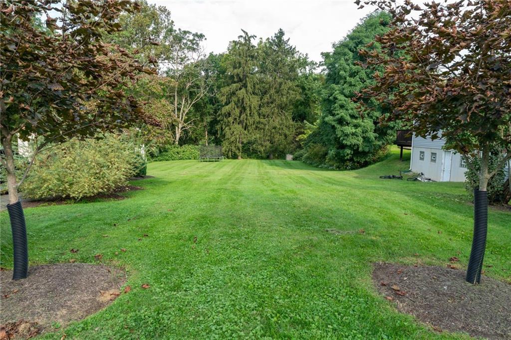 262 Cliffview Road Pittsburgh, PA 15212 - Photo 4 of 14 Sprawling fenced in back yard