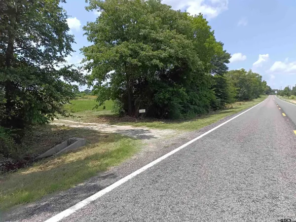 a view of a yard with large trees