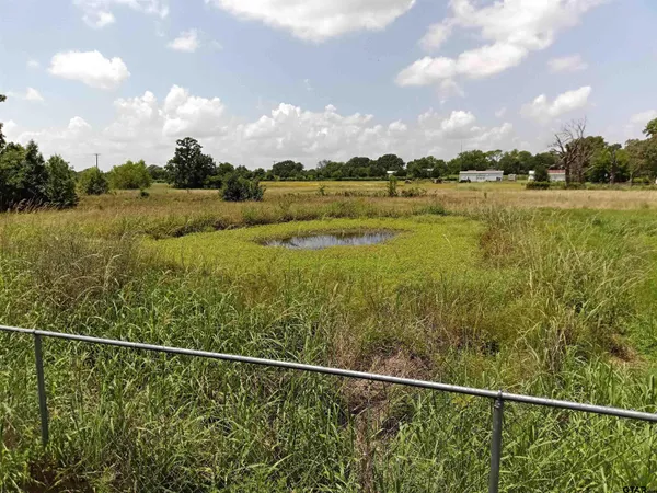 a view of a city and lake