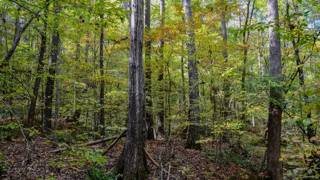 $1,345,836 | 0 Rocky Branch Road, Gaffney, SC 29340